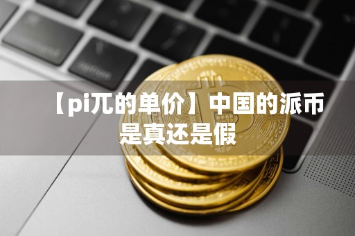 【pi兀的单价】中国的派币是真还是假