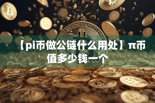 【pi币做公链什么用处】π币值多少钱一个