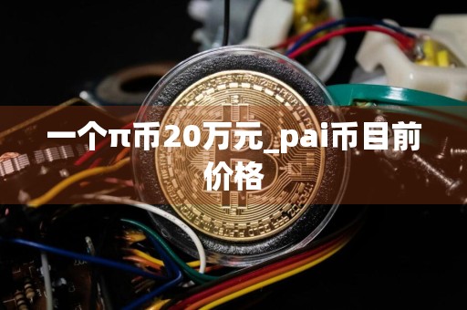 一个π币20万元_pai币目前价格