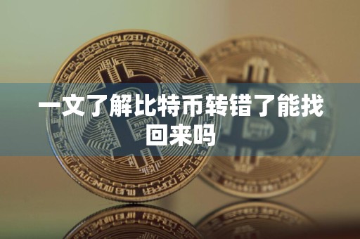 一文了解比特币转错了能找回来吗