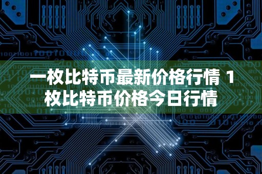 一枚比特币最新价格行情 1枚比特币价格今日行情