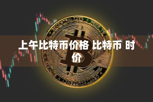 上午比特币价格 比特币 时价