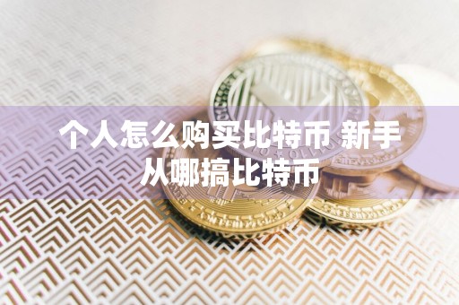 个人怎么购买比特币 新手从哪搞比特币