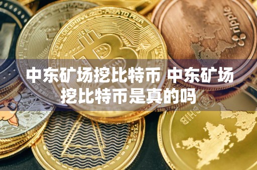 中东矿场挖比特币 中东矿场挖比特币是真的吗