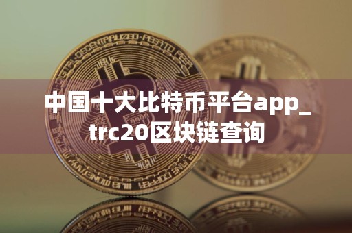 中国十大比特币平台app_trc20区块链查询