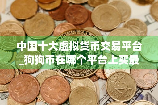 中国十大虚拟货币交易平台_狗狗币在哪个平台上买最正规