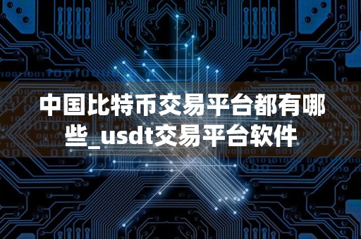 中国比特币交易平台都有哪些_usdt交易平台软件