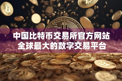 中国比特币交易所官方网站 全球最大的数字交易平台