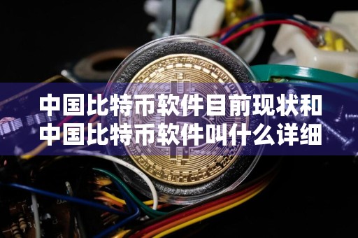 中国比特币软件目前现状和中国比特币软件叫什么详细介绍