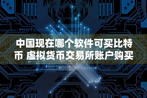 中国现在哪个软件可买比特币 虚拟货币交易所账户购买