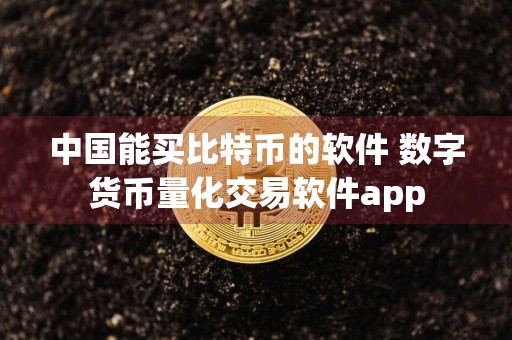 中国能买比特币的软件 数字货币量化交易软件app