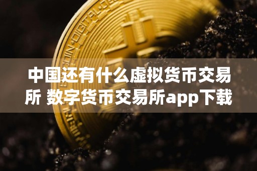 中国还有什么虚拟货币交易所 数字货币交易所app下载