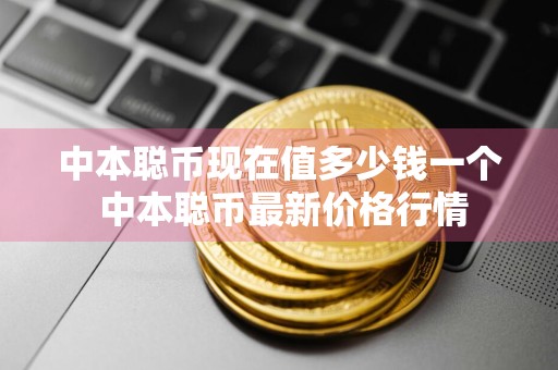 中本聪币现在值多少钱一个 中本聪币最新价格行情