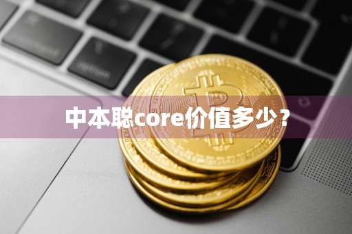 中本聪core价值多少？