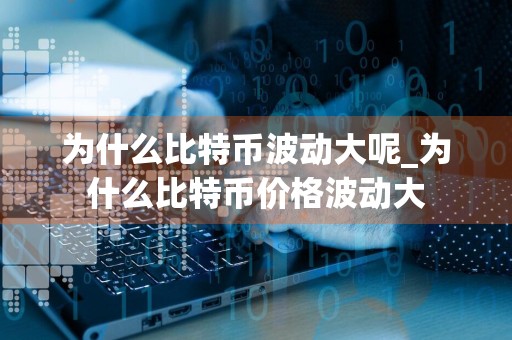 为什么比特币波动大呢_为什么比特币价格波动大