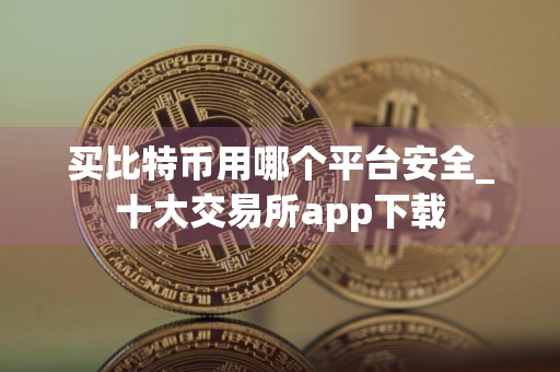 买比特币用哪个平台安全_十大交易所app下载