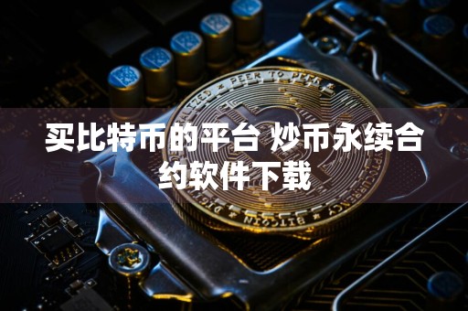 买比特币的平台 炒币永续合约软件下载