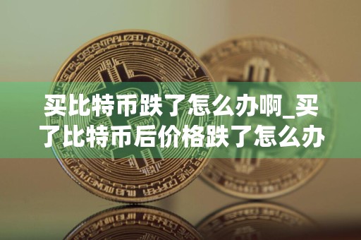 买比特币跌了怎么办啊_买了比特币后价格跌了怎么办