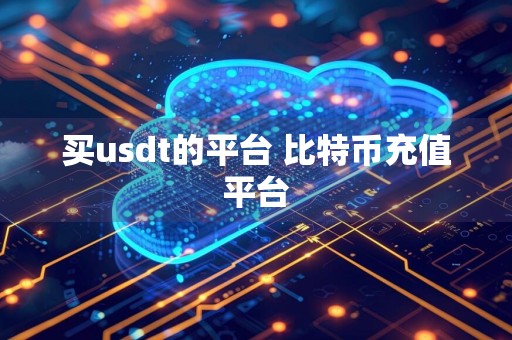 买usdt的平台 比特币充值平台