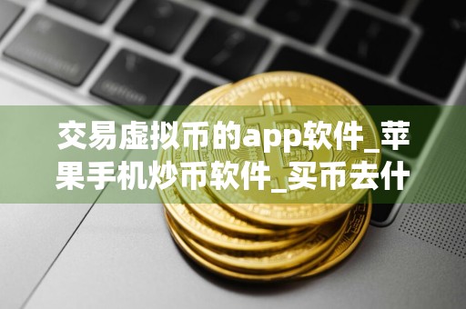 交易虚拟币的app软件_苹果手机炒币软件_买币去什么平台