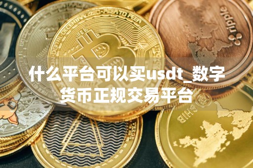 什么平台可以买usdt_数字货币正规交易平台