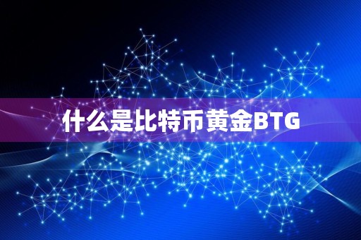 什么是比特币黄金BTG