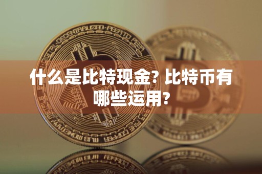 什么是比特现金? 比特币有哪些运用?