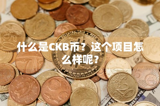 什么是CKB币？这个项目怎么样呢？