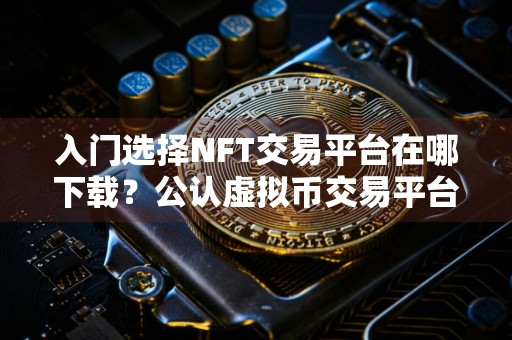 入门选择NFT交易平台在哪下载？公认虚拟币交易平台用户量排名