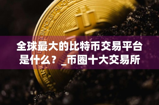 全球最大的比特币交易平台是什么？_币圈十大交易所app下载