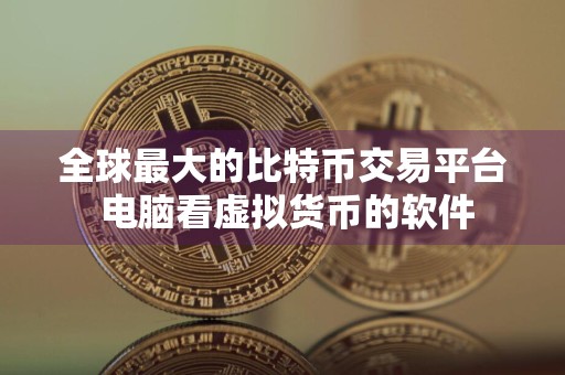 全球最大的比特币交易平台 电脑看虚拟货币的软件