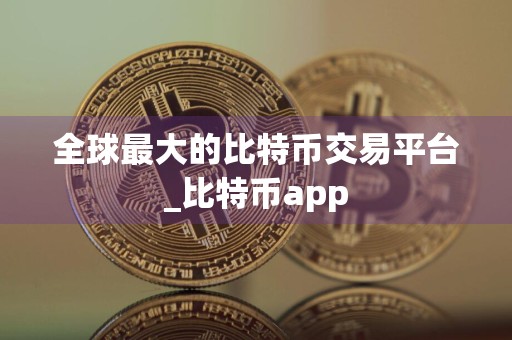 全球最大的比特币交易平台_比特币app