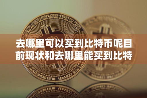 去哪里可以买到比特币呢目前现状和去哪里能买到比特币详细介绍