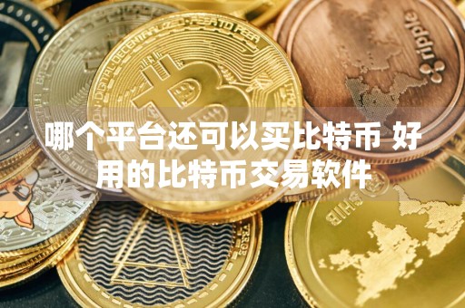 哪个平台还可以买比特币 好用的比特币交易软件