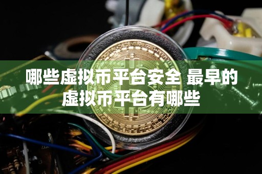 哪些虚拟币平台安全 最早的虚拟币平台有哪些