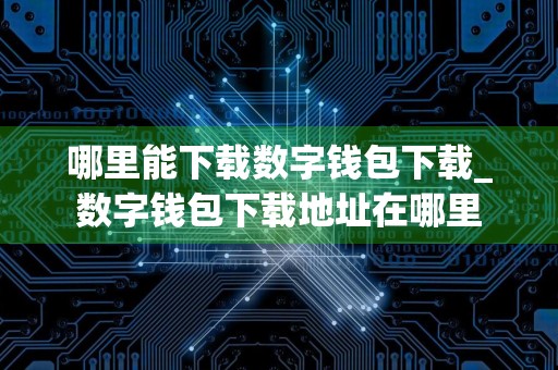 哪里能下载数字钱包下载_数字钱包下载地址在哪里