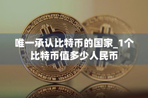 唯一承认比特币的国家_1个比特币值多少人民币