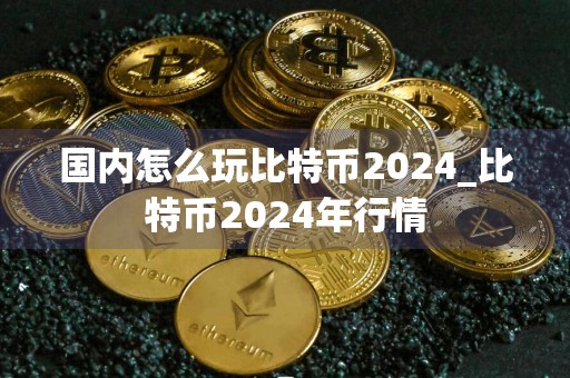 国内怎么玩比特币2024_比特币2024年行情