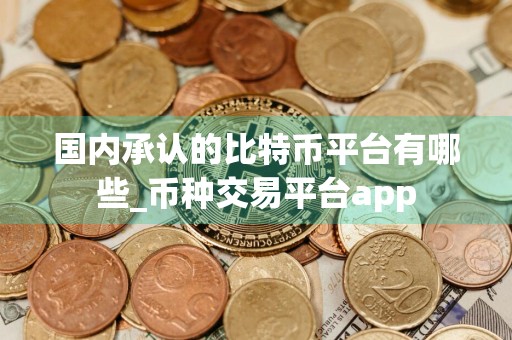 国内承认的比特币平台有哪些_币种交易平台app