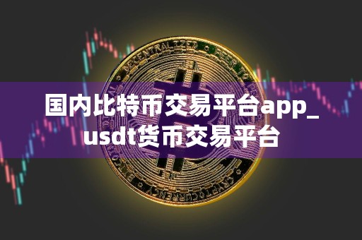 国内比特币交易平台app_usdt货币交易平台