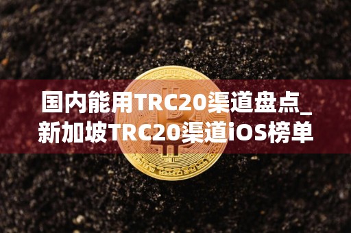 国内能用TRC20渠道盘点_新加坡TRC20渠道iOS榜单