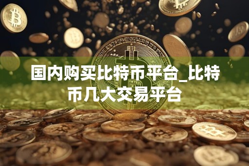 国内购买比特币平台_比特币几大交易平台
