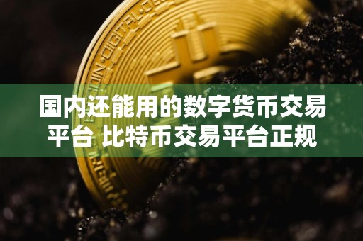 国内还能用的数字货币交易平台 比特币交易平台正规
