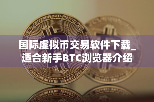 国际虚拟币交易软件下载_适合新手BTC浏览器介绍