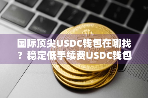 国际顶尖USDC钱包在哪找？稳定低手续费USDC钱包推荐