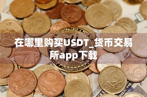 在哪里购买USDT_货币交易所app下载