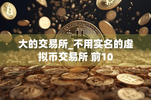 大的交易所_不用实名的虚拟币交易所 前10