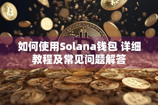 如何使用Solana钱包 详细教程及常见问题解答