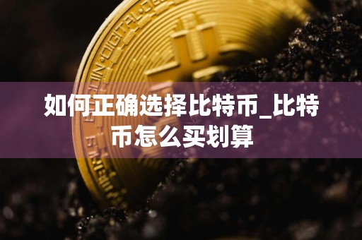 如何正确选择比特币_比特币怎么买划算