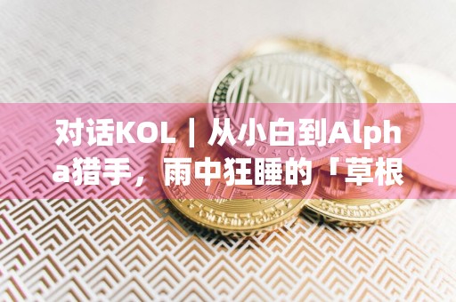 对话KOL｜从小白到Alpha猎手，雨中狂睡的「草根逆袭」